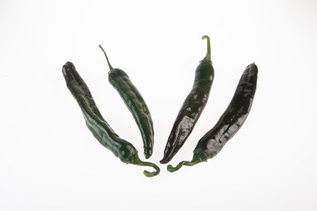Palmichal Negro