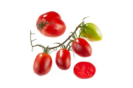 Amish Red