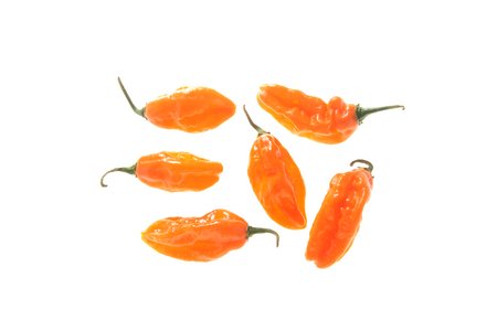 Carbonero