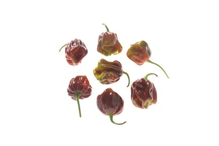 Guadeloupe Black